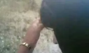 ઘરની બહાર પર્સિયન કલ ...