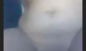 કલાપ્રેમી હેન્ટાઈ, ગ ...